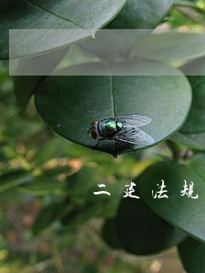 二建法规重点难点考点精品资料 二建法规重点难点考点精品资料