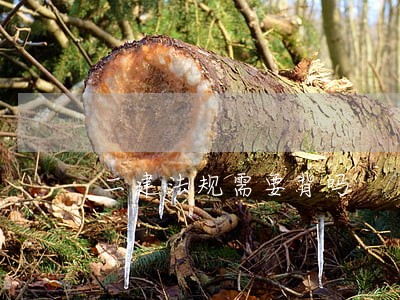 二建法规需要背吗 二建法规需要背吗