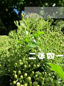 二张同一个银行卡逾期 二张同一个银行卡逾期