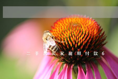 二手房买家逾期付款6 二手房买家逾期付款6