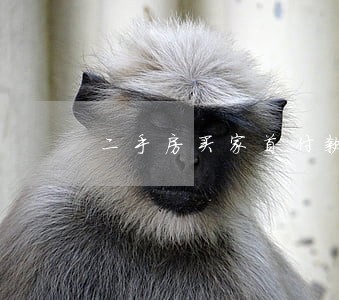 二手房买家首付款逾期6 二手房买家首付款逾期6