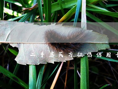 二手房买方征信信用卡逾期 二手房买方征信信用卡逾期