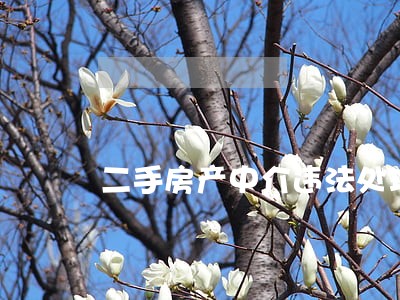 二手房产中介违法处理 二手房产中介违法处理