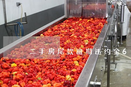 二手房尾款逾期违约金6 二手房尾款逾期违约金6