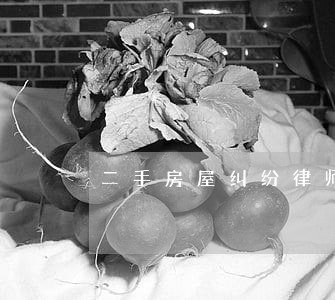 二手房屋纠纷律师热线 二手房屋纠纷律师热线