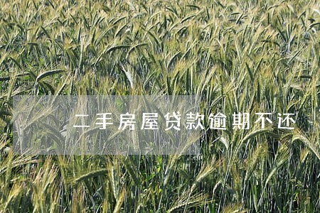 二手房屋贷款逾期不还 二手房屋贷款逾期不还