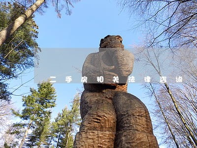 二手房相关法律咨询