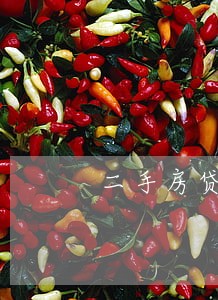 二手房贷款客户逾期 二手房贷款客户逾期