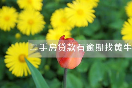 二手房贷款有逾期找黄牛