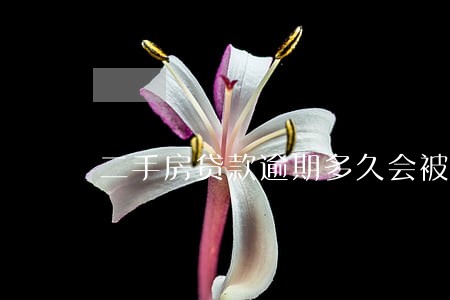 二手房贷款逾期多久会被起诉