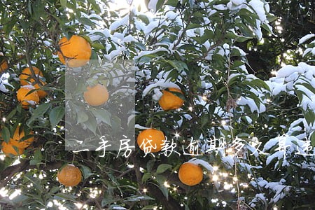 二手房贷款逾期多久算违约金 二手房贷款逾期多久算违约金