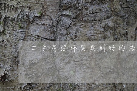 二手房连环买卖纠纷的法律分析
