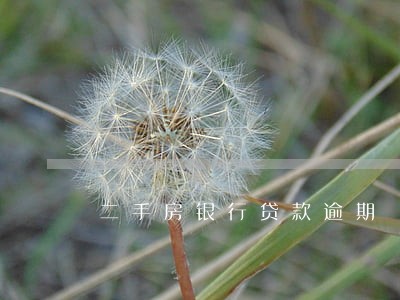 二手房银行贷款逾期 二手房银行贷款逾期
