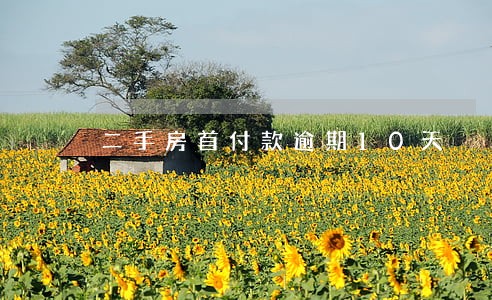 二手房首付款逾期10天 二手房首付款逾期10天
