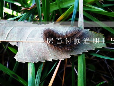 二手房首付款逾期15工作日