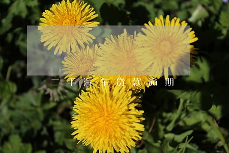 二手汽车贷款逾期 二手汽车贷款逾期