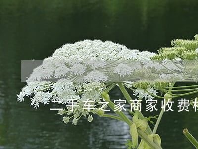 二手车之家商家收费标准