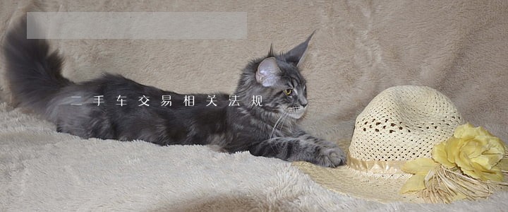 二手车交易相关法规 二手车交易相关法规