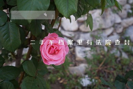 二手车档案里有法院查封 二手车档案里有法院查封