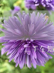 二手车知识大讲堂律师函 二手车知识大讲堂律师函