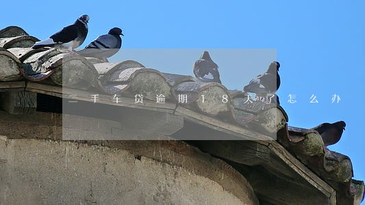二手车贷逾期18天了怎么办