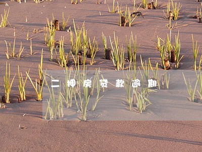 二押房贷款逾期 二押房贷款逾期