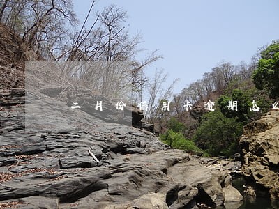 二月份信用卡逾期怎么办