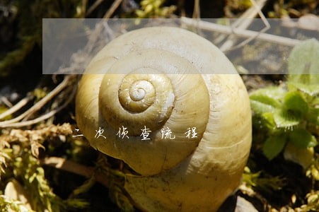 二次侦查流程