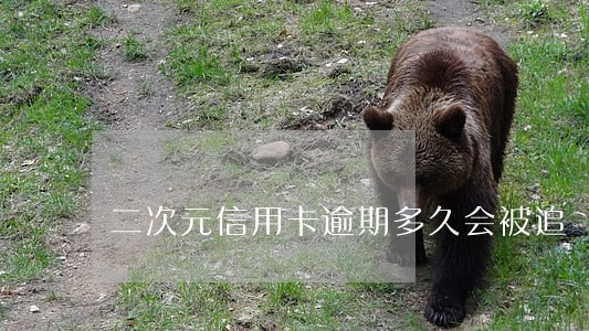 二次元信用卡逾期多久会被追 二次元信用卡逾期多久会被追