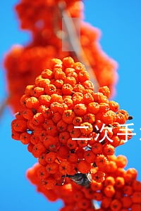 二次手术怎么收取律师费 二次手术怎么收取律师费