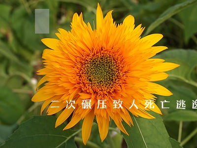 二次碾压致人死亡逃逸
