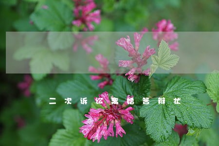 二次诉讼离婚答辩状 二次诉讼离婚答辩状