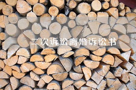 二次诉讼离婚诉讼书 二次诉讼离婚诉讼书
