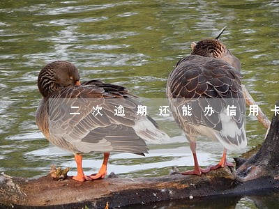 二次逾期还能办信用卡吗