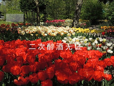 二次醉酒无证 二次醉酒无证