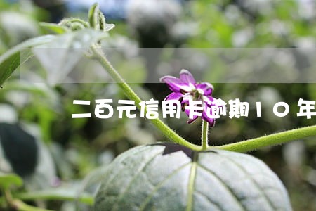 二百元信用卡逾期10年