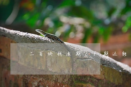 二百块钱逾期15期还能买房吗