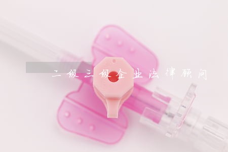 二级三级企业法律顾问 二级三级企业法律顾问