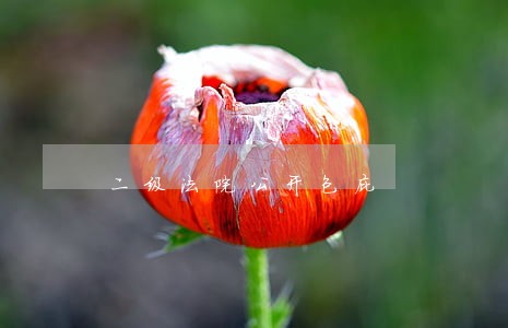 二级法院公开包庇 二级法院公开包庇