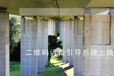 二维码诉讼引导系统上线 二维码诉讼引导系统上线