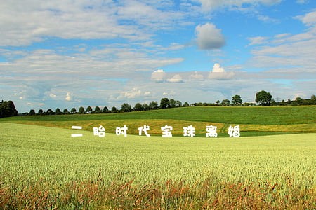 二胎时代宝珠离婚 二胎时代宝珠离婚