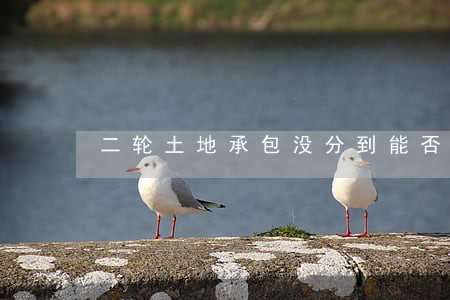 二轮土地承包没分到能否诉讼 二轮土地承包没分到能否诉讼