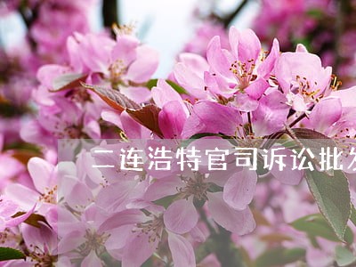 二连浩特官司诉讼批发 二连浩特官司诉讼批发