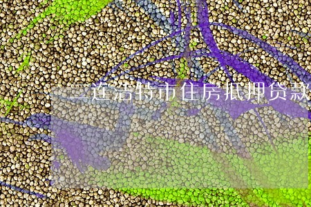 二连浩特市住房抵押贷款纠纷律师 二连浩特市住房抵押贷款纠纷律师