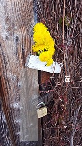 二连浩特市法院陈鑫 二连浩特市法院陈鑫