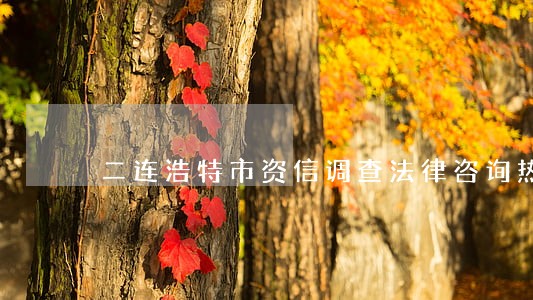 二连浩特市资信调查法律咨询热线 二连浩特市资信调查法律咨询热线
