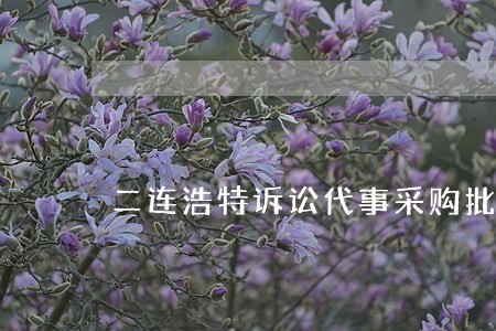 二连浩特诉讼代事采购批发