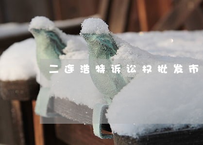 二连浩特诉讼权批发市场