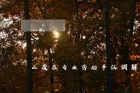 二道区专业劳动争议调解律师 二道区专业劳动争议调解律师