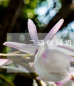 二道区网络犯罪案件律师咨询 二道区网络犯罪案件律师咨询